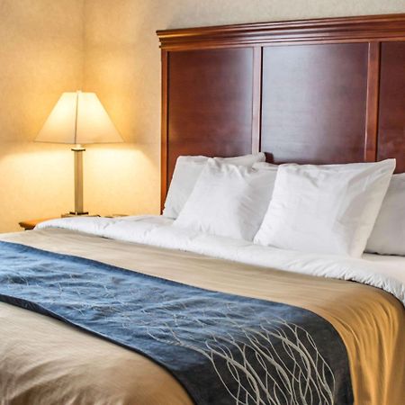 Comfort Inn & Suites Kent - University Area 외부 사진