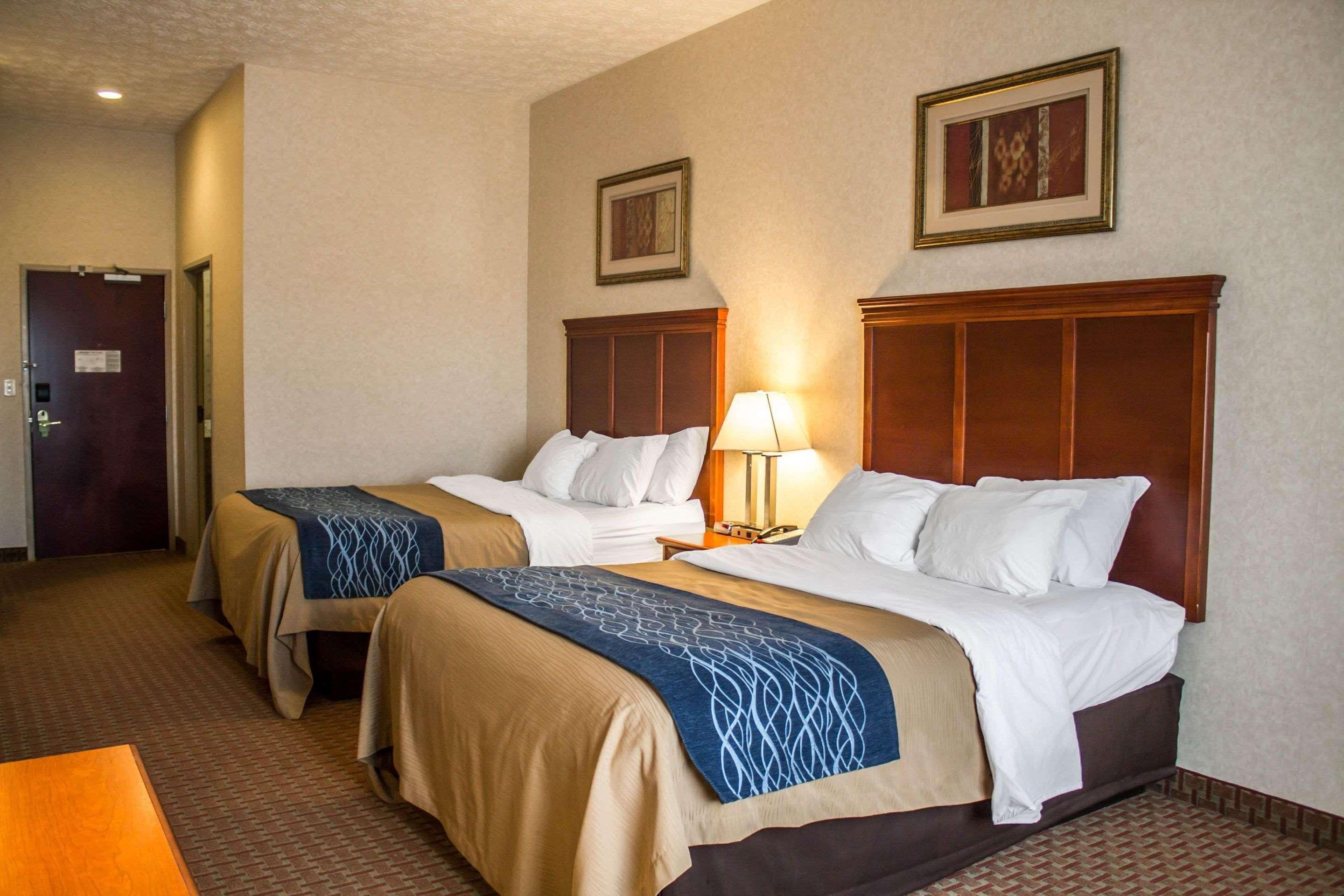 Comfort Inn & Suites Kent - University Area 외부 사진